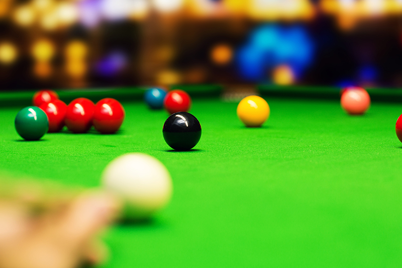 Snooker Players